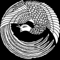 іP̊