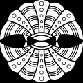 L