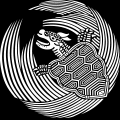 T̊