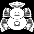 d˖c