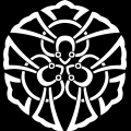 AOc