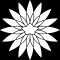 八重裏鬼菊