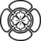 陰四方木瓜