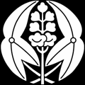 抱き沢潟