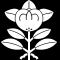 七枚葉橘