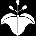 t[